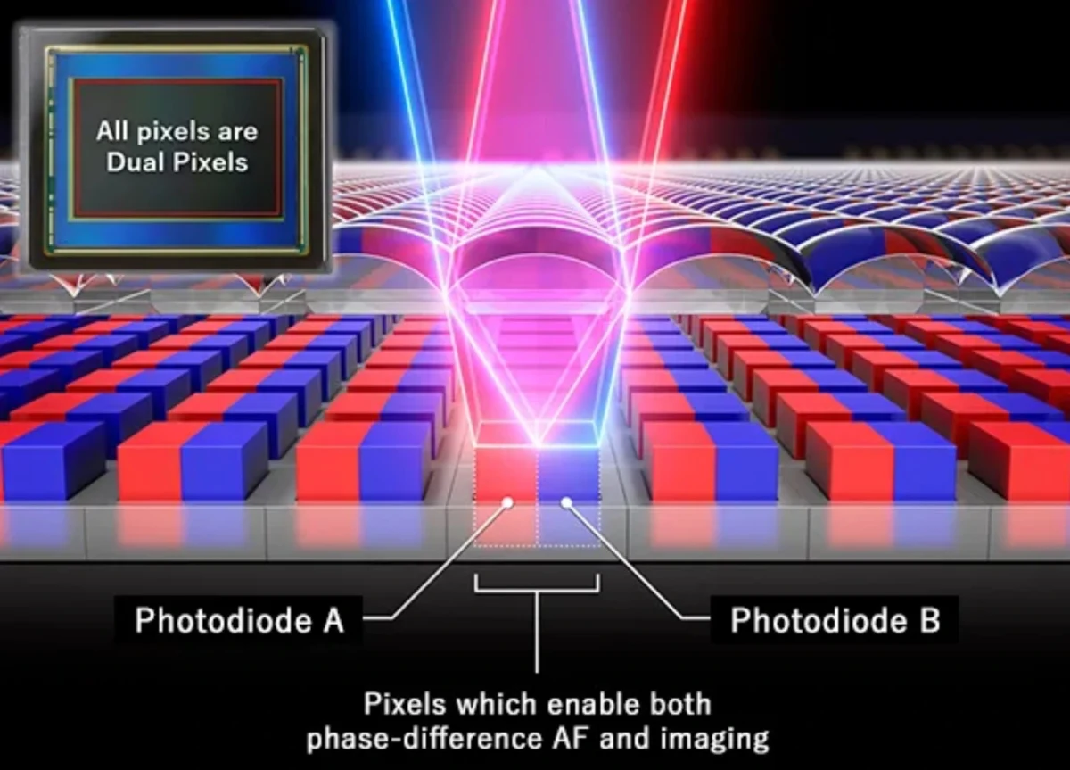 Canon Dual Pixel sensöründe iki fotodiyotun ışığı farklı açılardan algılayarak faz farkı ve görüntüleme bilgisi üretimini gösteren şema