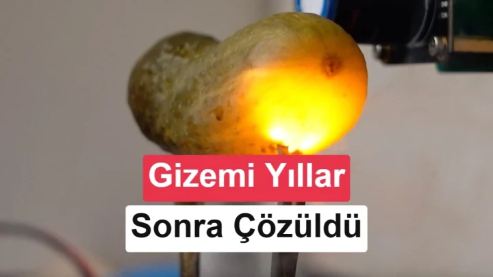 Elektrik akımıyla ışıldayan turşu deneyi