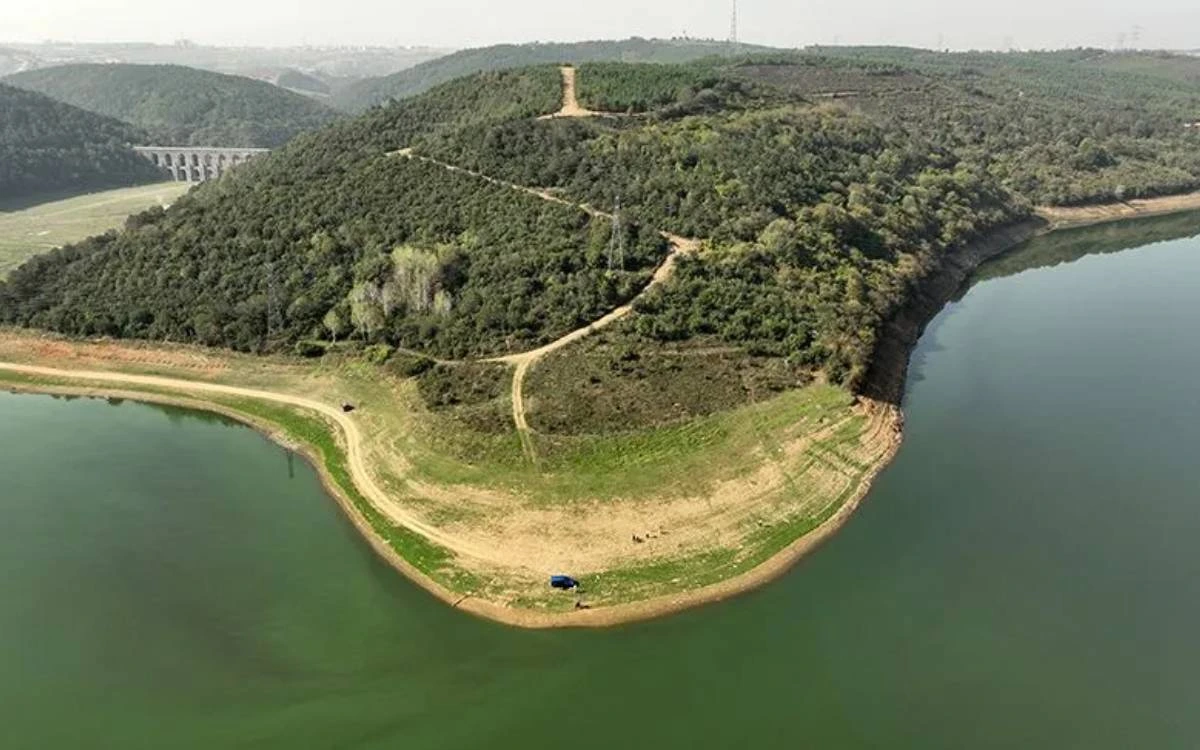 Ormanlık bir baraj havzası ve su kıyısındaki çekilmiş bölüm
