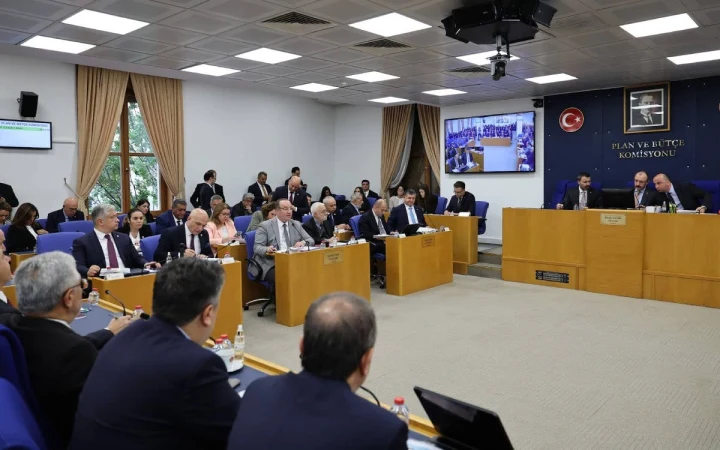 TBMM Plan ve Bütçe Komisyonu toplantı salonunda üyeler masalarında oturuyor.