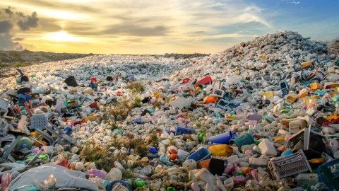 Plastikler suyla temas ettiğinde hücrelere zarar verebilen radikaller üretebiliyor