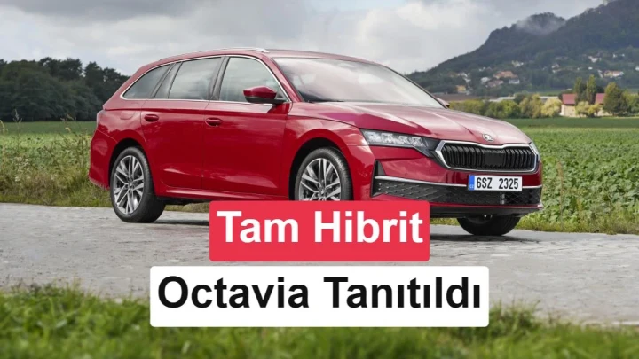 Kırsal bir yolda park halindeki kırmızı Skoda Octavia Combi