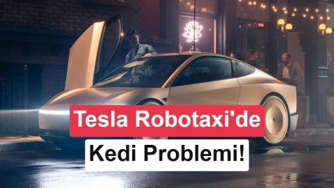 Karanlık yolda bir kediyi gösteren kamera görüntüsü ile çevrenin sensör verileriyle oluşturulmuş renkli görünümü