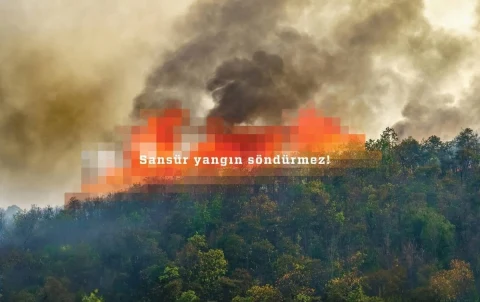 Freedom House raporu: Türkiye internet özgürlüğünde Avrupa’da son sırada