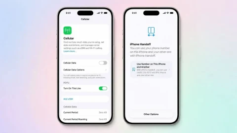 Verizon, iPhone Handoff için ayda 10 dolar ücret alacak