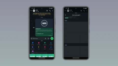WhatsApp, Reels videolarını sohbetlerde paylaşmayı kolaylaştırıyor